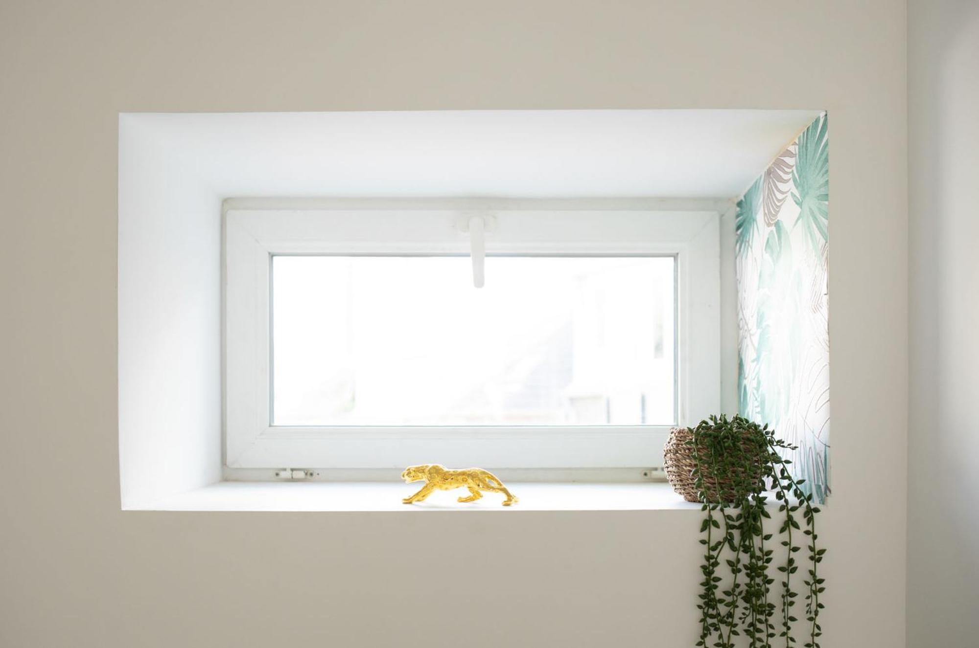 Jungle Appartement Lumineux Plein Centre Булонь-сюр-Мер Экстерьер фото