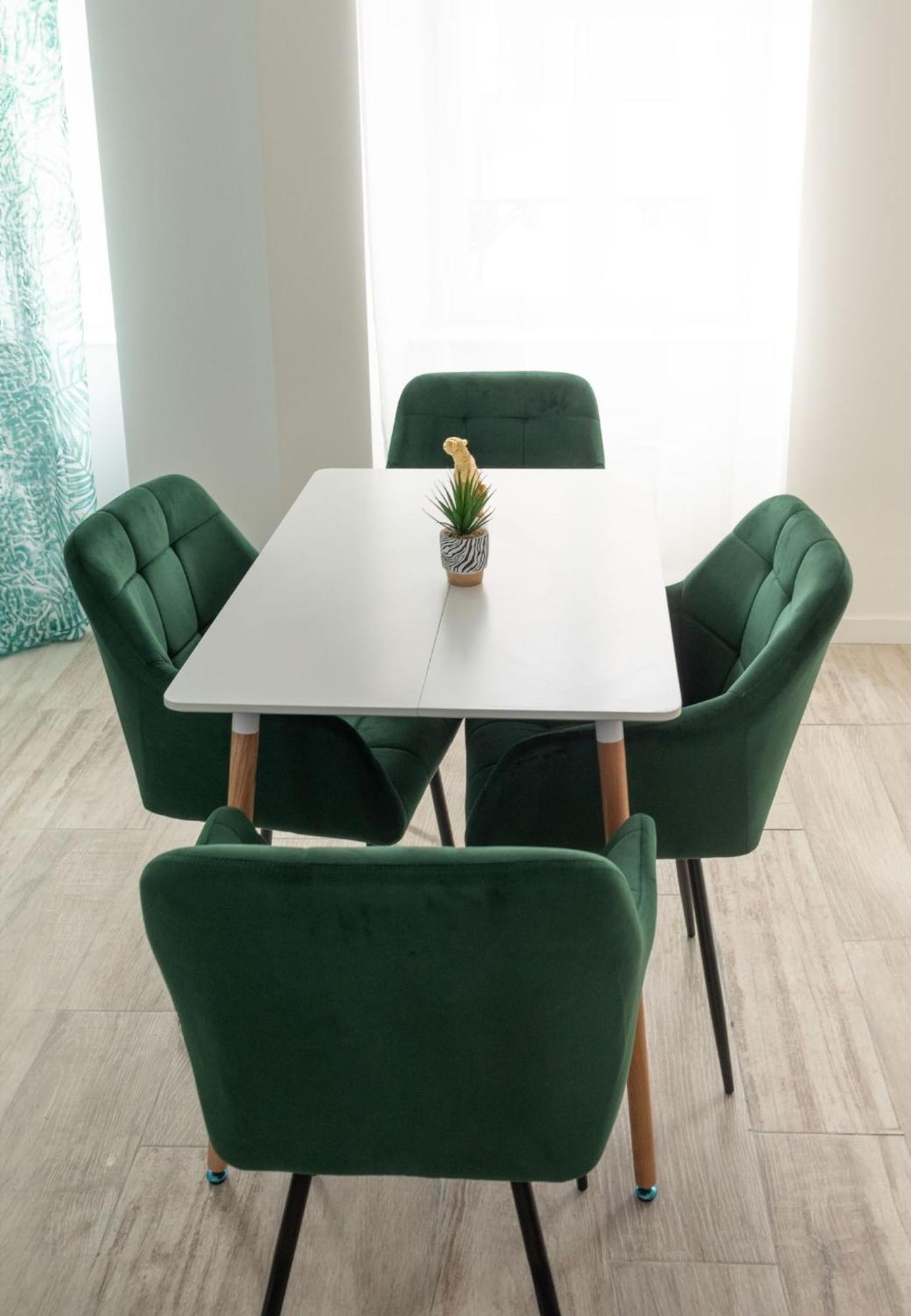 Jungle Appartement Lumineux Plein Centre Булонь-сюр-Мер Экстерьер фото